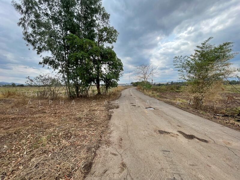 For Sale - Sale Vacant Land L4_5_0520_G01, Phayao
