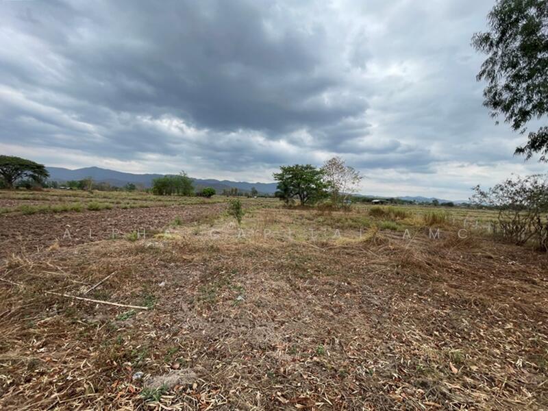 For Sale - Sale Vacant Land L4_5_0520_G01, Phayao