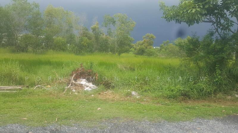 ถนนเลียบคลองสอง, Pathum Thani, Khlong Song, Khlong Luang, Pathum Thani, , 800 sqm, Land For Sale, by Pornpimon Tapkaew, 11515605 - DDproperty.com