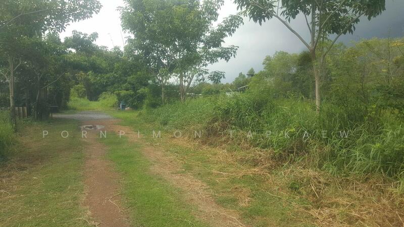ถนนเลียบคลองสอง, Pathum Thani, Khlong Song, Khlong Luang, Pathum Thani, , 800 sqm, Land For Sale, by Pornpimon Tapkaew, 11515605 - DDproperty.com