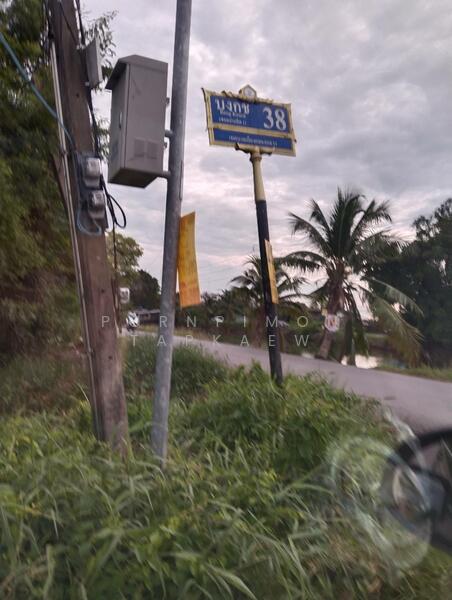 ถนนเลียบคลองสอง, Pathum Thani, Khlong Song, Khlong Luang, Pathum Thani, , 800 sqm, Land For Sale, by Pornpimon Tapkaew, 11515605 - DDproperty.com