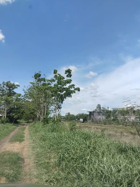 ถนนเลียบคลองสอง, ปทุมธานี, คลองสอง, คลองหลวง, ปทุมธานี, 800 ตร.ม., ที่ดิน ขาย, โดย Pornpimon Tapkaew, 11515605 - DDproperty.com