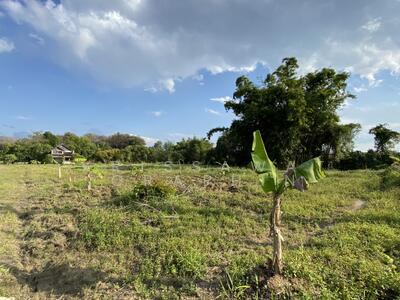 ขาย - ที่ดิน 20 ไร่ ติด ถ.พหลโยธิน ใกล้ ม.แม่ฟ้าหลวง, เชียงราย