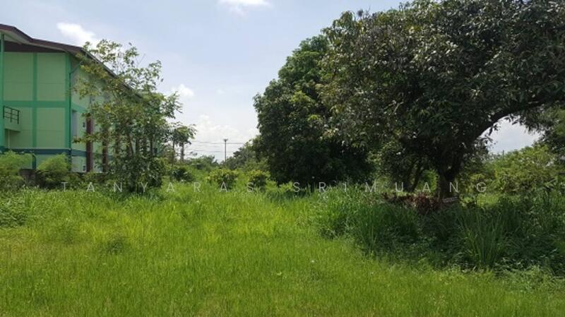 ขายที่ดินปากช่อง ติดถนนธนะรัชต์ เดินทางสะดวก ใกล้สิ่งอำนวยความสะดวกมากมาย, Nakhon Ratchasima, Pak Chong, Pak Chong, Nakhon Ratchasima, , 1,867 sqm, Land For Sale, by Tanyaras Srimuang, 11517814 - DDproperty.com