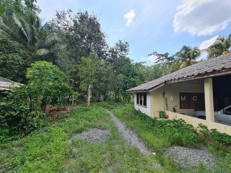 Sale Single House 1-ST, 2 units L4_6_0539_G01, Nakhon Si Thammarat, 29 สี่แยกอนามัยควรแร่, Na Mai Phai, Thung Song, Nakhon Si Thammarat, 2 Bedrooms, 173 sqm, Single Detached House For Sale, by Alpha Capital AMC, 11518913 - DDproperty.com