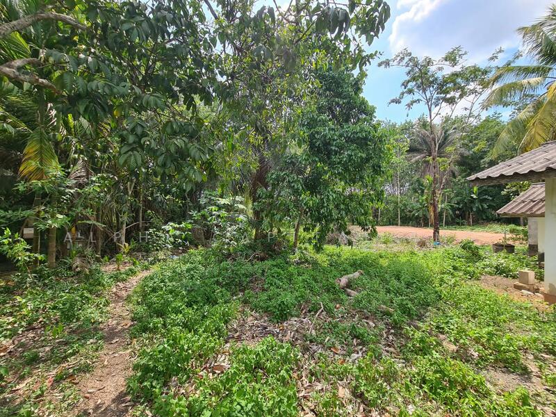 ขาย - ขายบ้านเดี่ยวชั้นเดียว 2 หลัง L4_6_0539_G01, นครศรีธรรมราช