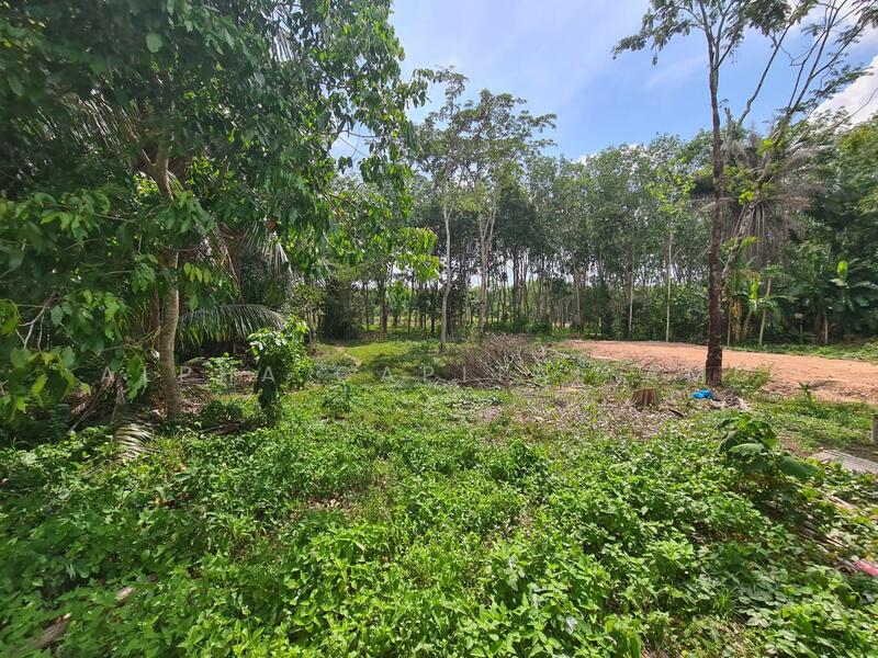 ขาย - ขายบ้านเดี่ยวชั้นเดียว 2 หลัง L4_6_0539_G01, นครศรีธรรมราช