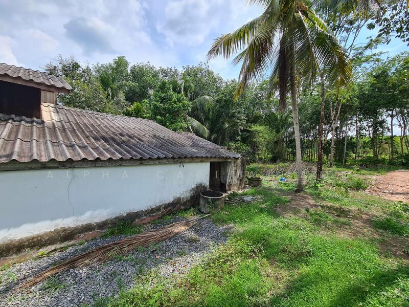 ขาย - ขายบ้านเดี่ยวชั้นเดียว 2 หลัง L4_6_0539_G01, นครศรีธรรมราช