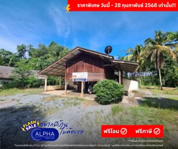 ขาย - ขายบ้านเดี่ยวชั้นเดียว 2 หลัง L4_6_0539_G01, นครศรีธรรมราช