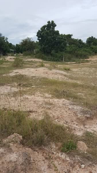 For Sale - ขายที่ดิน 14 ไร่ ด่านขุนทด โคราช | ติดคลองส่งน้ำ | ราคาไร่ละ 3.8 แสน | ที่ดินทำเกษตรแปลงใหญ่, Nakhon Ratchasima