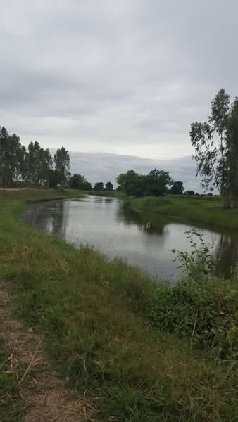 ขายที่ดิน 14 ไร่ ด่านขุนทด โคราช | ติดคลองส่งน้ำ | ราคาไร่ละ 3.8 แสน | ที่ดินทำเกษตรแปลงใหญ่, นครราชสีมา, พันชนะ, ด่านขุนทด, นครราชสีมา, 380 ตร.ม., ที่ดิน ขาย, โดย คุณเอ็มมี่, 11518918 - DDproperty.com