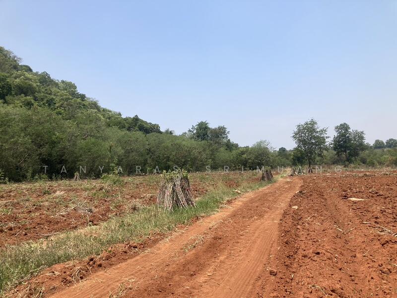 ขายที่ดินเขาใหญ่ ปากช่อง วิวเขา ใกล้7-Elevenเพีบง 4 กม. คุณโอ๋ 098-097-8715, นครราชสีมา, หนองสาหร่าย, ปากช่อง, นครราชสีมา, 30,804 ตร.ม., ที่ดิน ขาย, โดย Tanyaras Srimuang, 11519403 - DDproperty.com