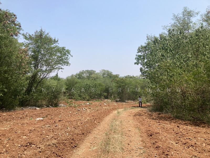 ขายที่ดินเขาใหญ่ ปากช่อง วิวเขา ใกล้7-Elevenเพีบง 4 กม. คุณโอ๋ 098-097-8715, นครราชสีมา, หนองสาหร่าย, ปากช่อง, นครราชสีมา, 30,804 ตร.ม., ที่ดิน ขาย, โดย Tanyaras Srimuang, 11519403 - DDproperty.com