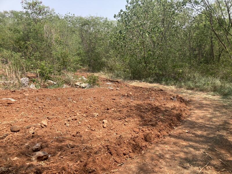 ขายที่ดินเขาใหญ่ ปากช่อง วิวเขา ใกล้7-Elevenเพีบง 4 กม. คุณโอ๋ 098-097-8715, นครราชสีมา, หนองสาหร่าย, ปากช่อง, นครราชสีมา, 30,804 ตร.ม., ที่ดิน ขาย, โดย Tanyaras Srimuang, 11519403 - DDproperty.com