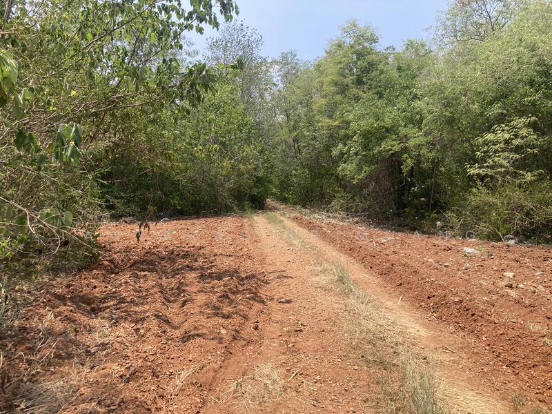 ขายที่ดินเขาใหญ่ ปากช่อง วิวเขา ใกล้7-Elevenเพีบง 4 กม. คุณโอ๋ 098-097-8715, นครราชสีมา, หนองสาหร่าย, ปากช่อง, นครราชสีมา, 30,804 ตร.ม., ที่ดิน ขาย, โดย Tanyaras Srimuang, 11519403 - DDproperty.com