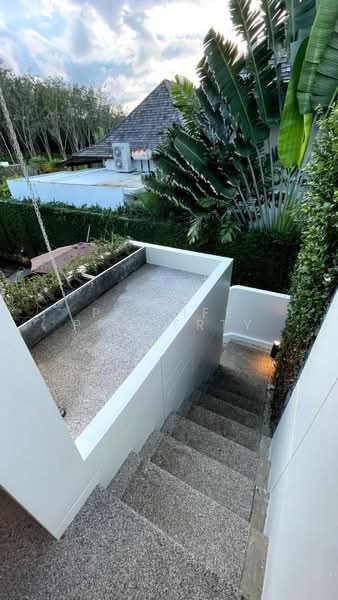 2R0572 This pool villa 2 bedroom 2 bathroom 80,000/month at Cherngtalay (available on April 2025), ภูเก็ต, เชิงทะเล, ถลาง, ภูเก็ต, 250 ตร.ม., วิลล่า ให้เช่า, โดย PK LIFE Property, 11519517 - DDproperty.com