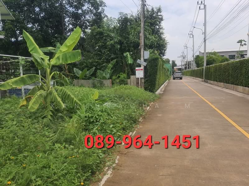 ขายที่ดิน สายไหม ลำลูกกา สุขาภิบาล5 กรุงเทพ, กรุงเทพ, สายไหม, กรุงเทพ, 400 ตร.ม., ที่ดิน ขาย, โดย Kanisracha. M, 11520206 - DDproperty.com