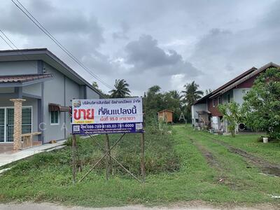 ขาย - ที่ดิน สงขลา-ระโนด (ทล.408) ต.ปากแตระ อ.ระโนด จ.สงขลา L4_8_0624_G01, สงขลา