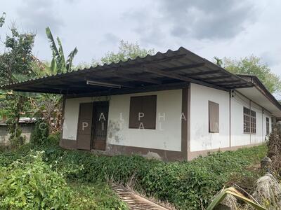 ขาย - บ้านพักอาศัยชั้นเดียว ถนนสายตรัง-หยงสตาร์(ทล.404) ต.ทุ่งกระบือ อ.ย่านตาขาว จ.ตรัง L4_1_0626_G01, ตรัง