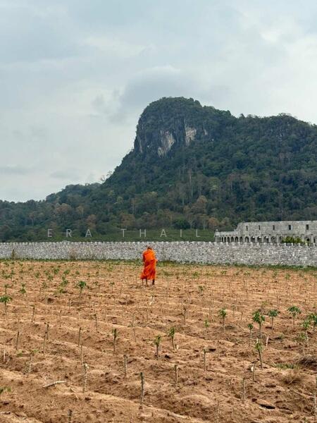 ขายที่ดินสวยจัด เขาชีจรรย์ เนื้อที่ 20 ไร่ เหมาะทำหมู่บ้านจัดสรร, Chon Buri (Pattaya), Na Chom Thian, Sattahip, Chon Buri (Pattaya), , 32,000 sqm, Land For Sale, by ERA Thailand, 11521472 - DDproperty.com