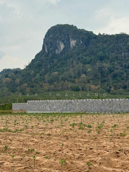 ขายที่ดินสวยจัด เขาชีจรรย์ เนื้อที่ 20 ไร่ เหมาะทำหมู่บ้านจัดสรร, Chon Buri (Pattaya), Na Chom Thian, Sattahip, Chon Buri (Pattaya), , 32,000 sqm, Land For Sale, by ERA Thailand, 11521472 - DDproperty.com