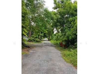 ขาย - ที่ดินในซอย สุขุมวิท 62 ใก้ลคอนโดมิเนียมโครงการพายน์ ทั่ม เพลส รพ.รวมใจรักษ์ สถานีรถไฟฟ้าสถานีบางจาก, กรุงเทพ