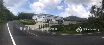 ขาย - ที่ดินทำหมู่บ้านหาดใหญ่ ดำเนินกิจการต่อ, สงขลา