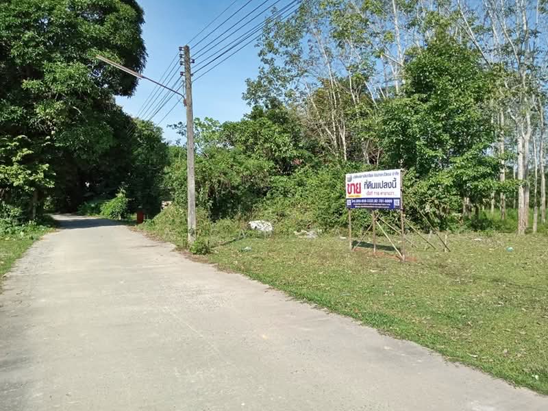 Sale Vacant Land L4_4_0340_G01, Nakhon Si Thammarat, นาบอน-ทุ่งสง, Chamai, Thung Song, Nakhon Si Thammarat, , 464 sqm, Land For Sale, by วารุณี จำรูญนุรักษ์, 11524517 - DDproperty.com