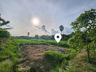 ขาย - ไทรใหญ่, นนทบุรี