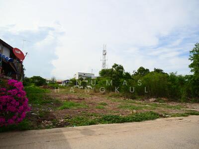 ขาย - ที่ดินในเมือง หน้าโรงพยาบาลป่าโมก ที่แปลงสวย, อ่างทอง