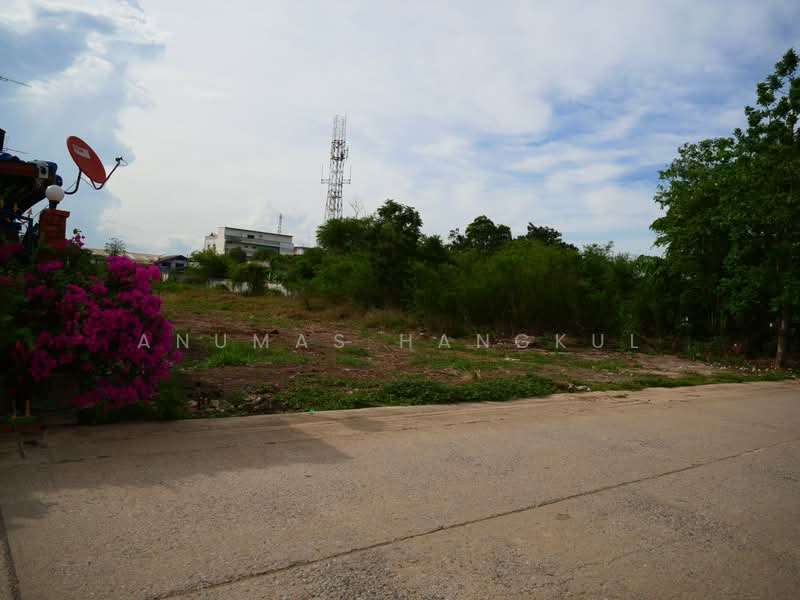 ที่ดินในเมือง หน้าโรงพยาบาลป่าโมก ที่แปลงสวย, อ่างทอง, ป่าโมก, ป่าโมก, อ่างทอง, 5,492 ตร.ม., ที่ดิน ขาย, โดย Anumas Hangkul, 11525352 - DDproperty.com