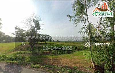 ขาย - ที่ดินใกล้โรงเรียนบ้านหนองงา ตำบลพันชาลี อำเภอวังทอง พิษณุโลก เนื้อที่ 21 ไร่ 3 งาน 64 ตารางวา, พิษณุโลก