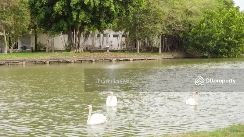 For Sale - Karuehaad Tayard, Nonthaburi