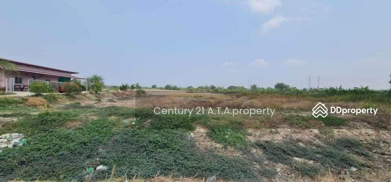 For Sale - Empty land plot, Chonburi, Phan Thong, Chon Buri