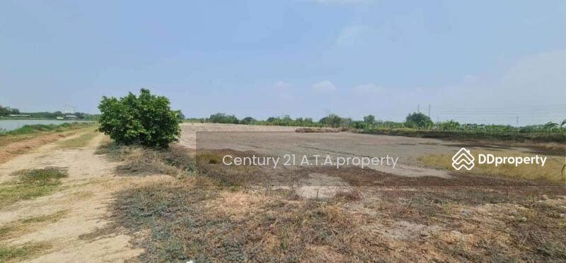 For Sale - Empty land plot, Chonburi, Phan Thong, Chon Buri