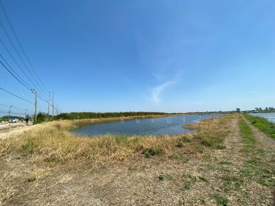 ขาย - ขาย/เช่า ที่ดินเปล่าติดถนนรัตนโกสินทร์ 200 ปี จำนวน 5 ไร่, สมุทรปราการ