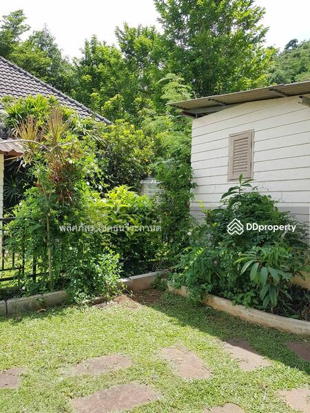 ให้เช่า - บ้านเช่าเขาใหญ่ใกล้หมูสี 2นอน1น้ำ ใกล้ร้านอาหาร ร้านคาเฟ่, นครราชสีมา