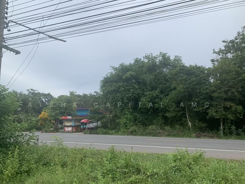 ขายที่ดิน L4_6_0489_G01, พัทลุง, 52/2-4 ไสยวน-ควนขนุน (4340), โตนดด้วน, ควนขนุน, พัทลุง, 828 ตร.ม., ที่ดิน ขาย, โดย วารุณี จำรูญนุรักษ์, 11528862 - DDproperty.com