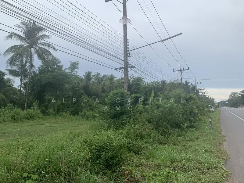 Sale Vacant Land L4_6_0489_G01, phatthalung, 52/2-4 ไสยวน-ควนขนุน (4340), Tanot Duan, Khuan Khanun, Phatthalung, , 828 sqm, Land For Sale, by วารุณี จำรูญนุรักษ์, 11528862 - DDproperty.com