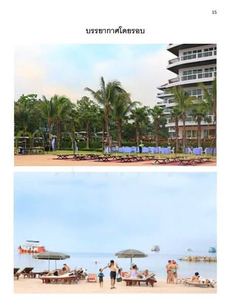 The Residences @ Dream Pattaya : เดอะ เรสซิเดนท์ แอท ดรีม พัทยา, ชลบุรี, ซอยนาจอมเทียน 4 ถนนสุขุมวิท, นาจอมเทียน, สัตหีบ, ชลบุรี, 1,150 ตร.ม., กิจการ ขาย, โดย คุณามาศ ศรีสงคราม, 11528946 - DDproperty.com