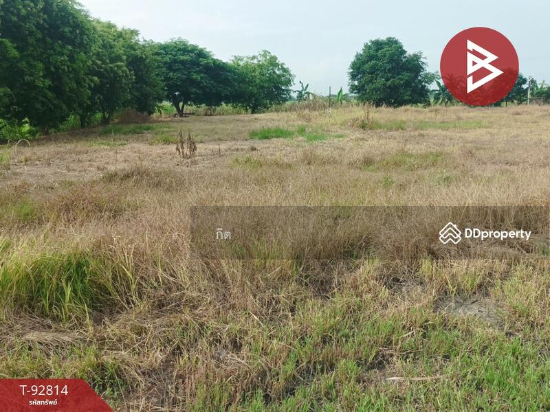 ขาย - ที่ดินท่าวุ้ง ลพบุรี, ลพบุรี