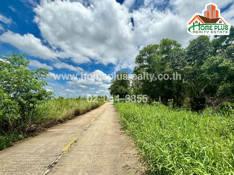 Moobaan Baan Saeng Tawan Rangsit-Nakhon Nayok Khlong 11 Road : หมู่บ้าน บ้านแสงตะวัน ถ.รังสิต-นครนายก คลอง 11, ปทุมธานี, ถนน รังสิต-นครนายก, บึงน้ำรักษ์, ธัญบุรี, ปทุมธานี, 23,204 ตร.ม., ที่ดิน ขาย, โดย นก, 11530273 - DDproperty.com