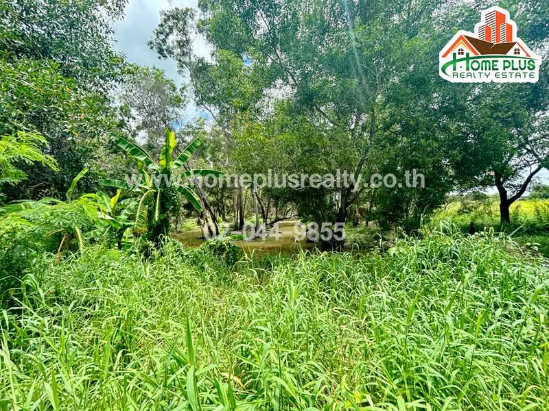For Sale - Moobaan Baan Saeng Tawan Rangsit-Nakhon Nayok Khlong 11 Road, Pathum Thani
