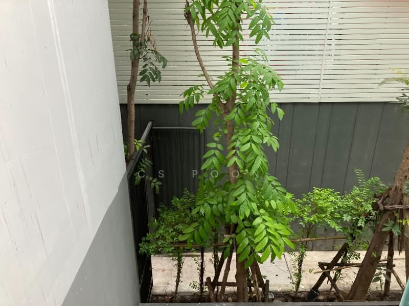 Vtara Sukhumvit 36, Bangkok, 118 Soi Saen Sabai, Phra Kanong, Khlong Toei, Bangkok, 1 Bedroom, 29 sqm, Condo For Sale, by CS Poon, 11530673 - DDproperty.com