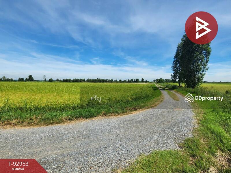 For Sale - ที่ดินอู่ทอง สุพรรณบุรี, Suphan Buri