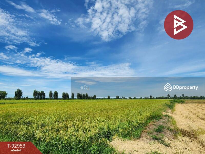 For Sale - ที่ดินอู่ทอง สุพรรณบุรี, Suphan Buri