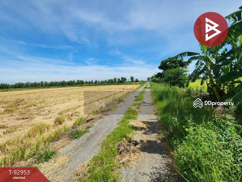 For Sale - ที่ดินอู่ทอง สุพรรณบุรี, Suphan Buri
