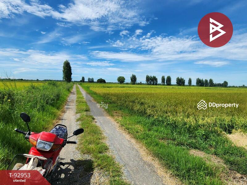 For Sale - ที่ดินอู่ทอง สุพรรณบุรี, Suphan Buri