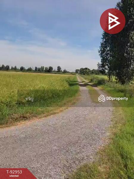 For Sale - ที่ดินอู่ทอง สุพรรณบุรี, Suphan Buri