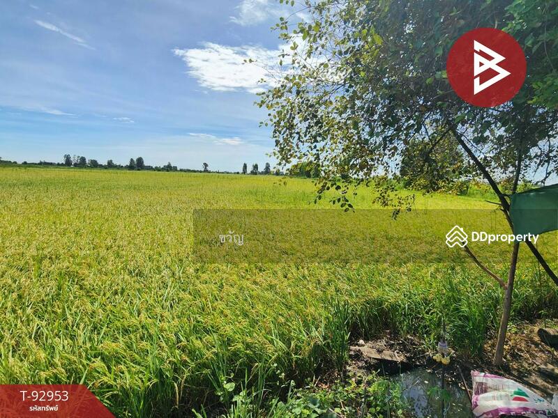 For Sale - ที่ดินอู่ทอง สุพรรณบุรี, Suphan Buri
